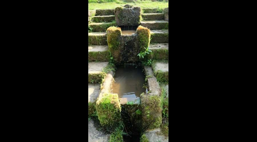 Running water in garden near fire pit & bbq