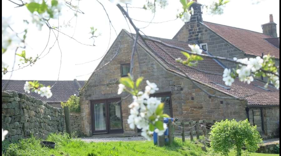 Front of luxury bunkbarn