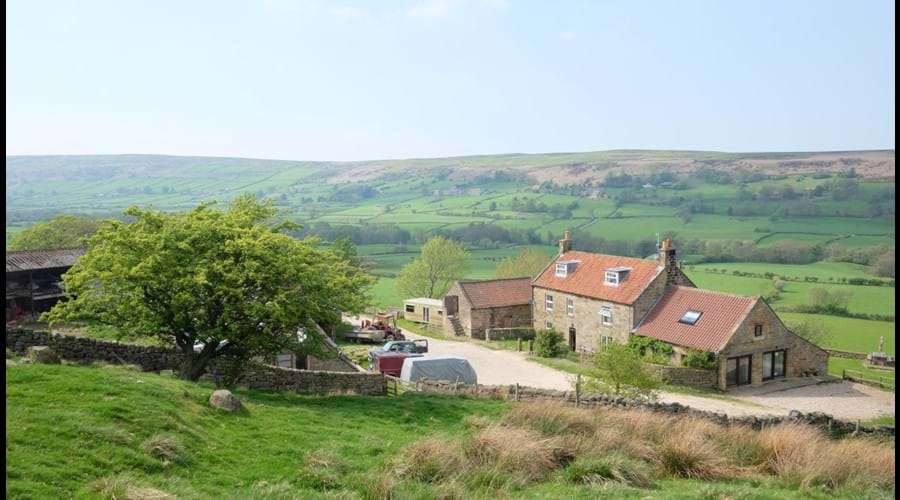 View of luxury bunkbarn from field above