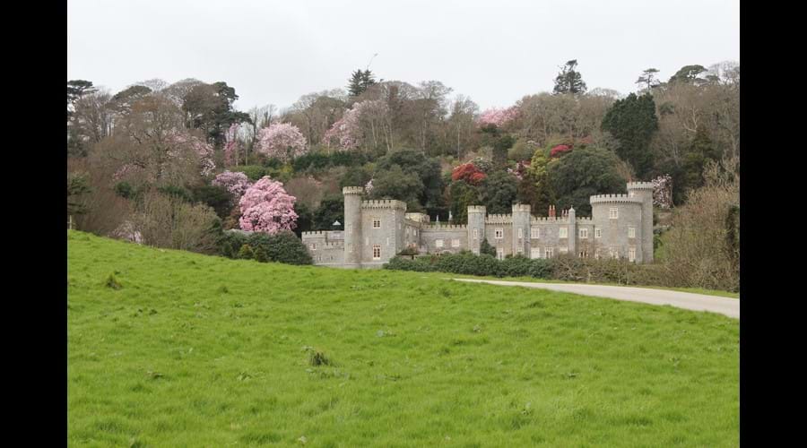 Caerhays Castle, Porthholland.