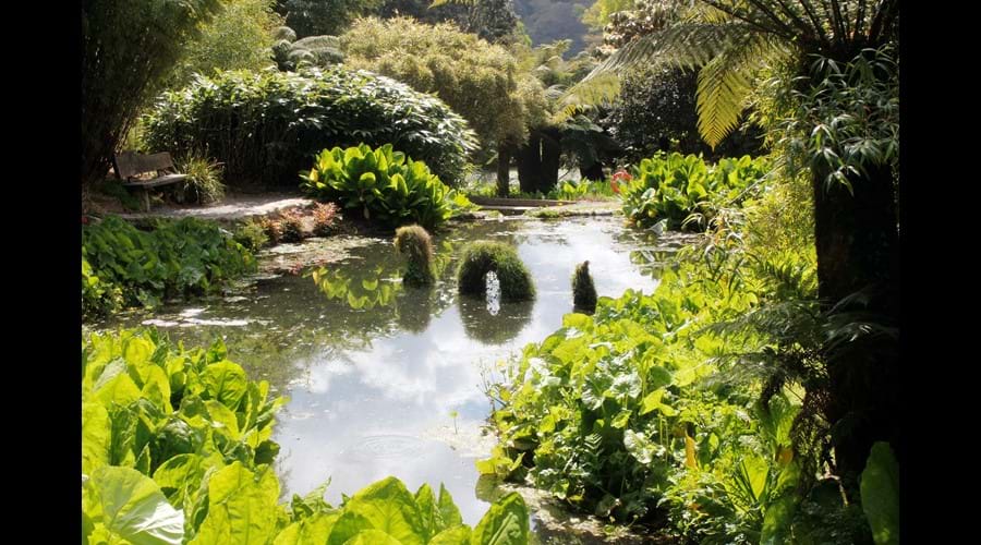 Trebah Gardens