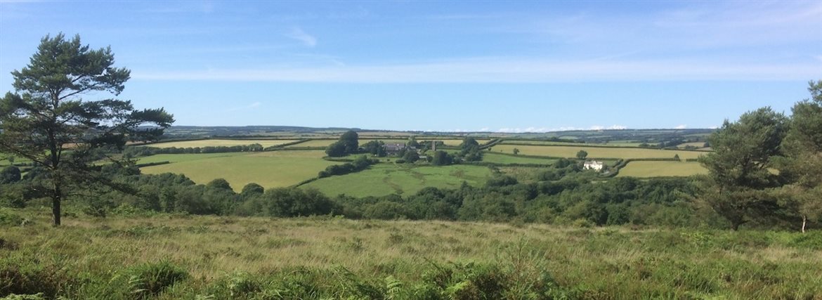Dog Friendly Self Catering Holiday Cottages Bampton Devon