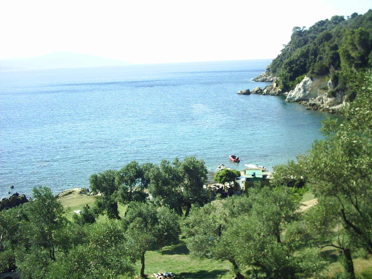Skiathos N. coast, unique Tarsanas beach and olive-grove taverna