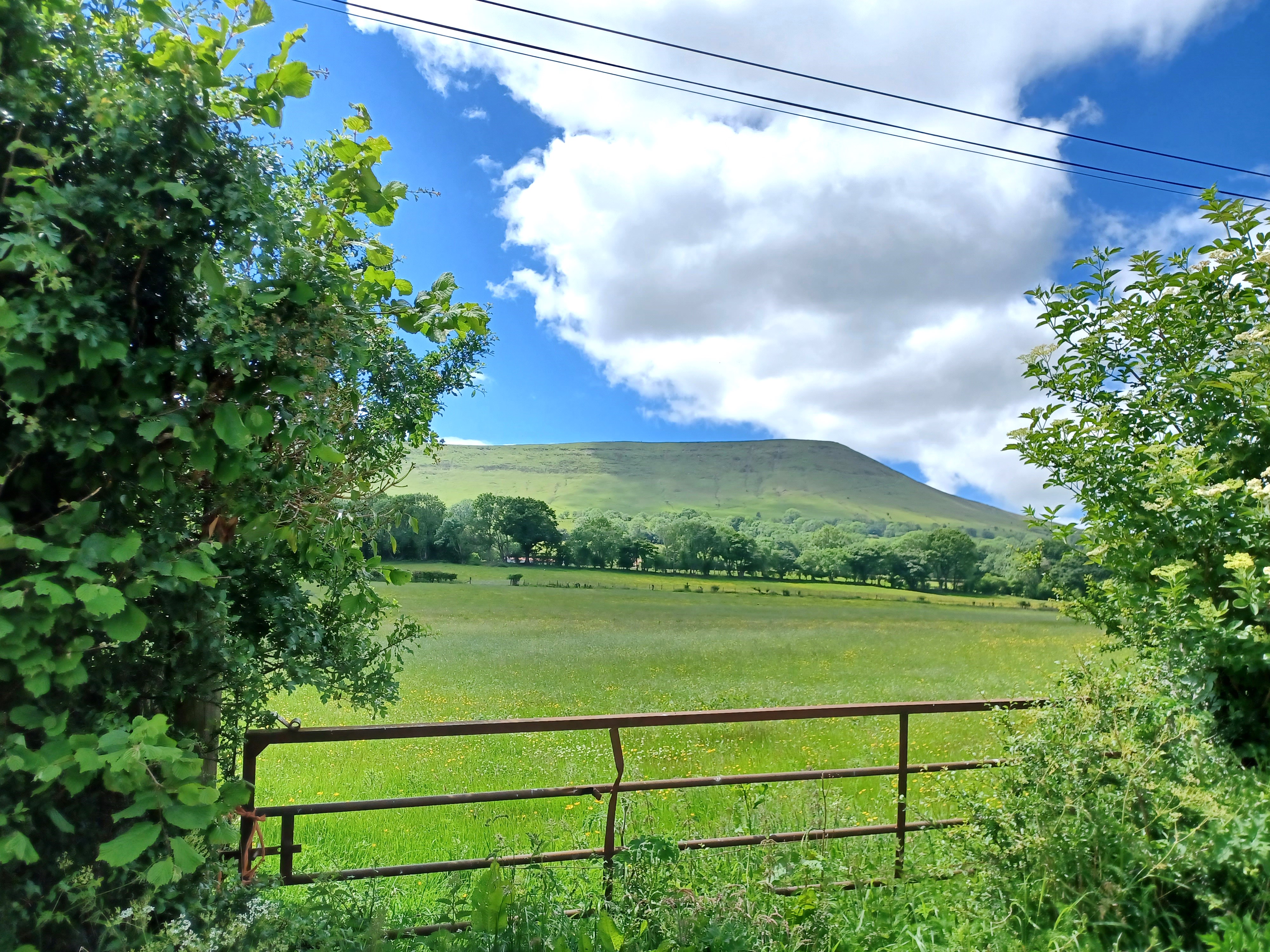 View of the Black Hill along the lane.