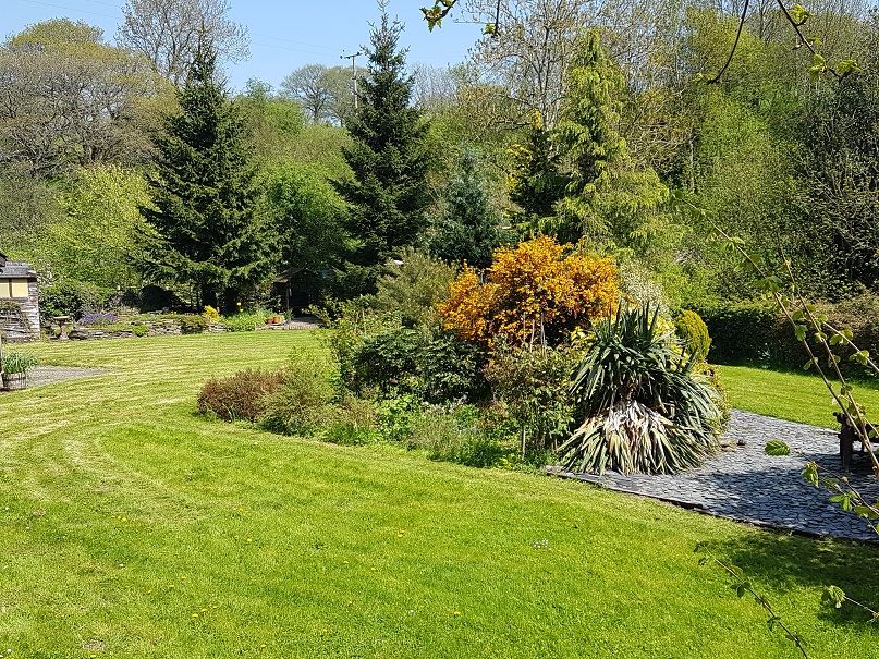 The garden in springtime.