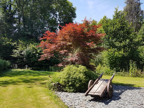 Looking towards the far end of the lovely garden.