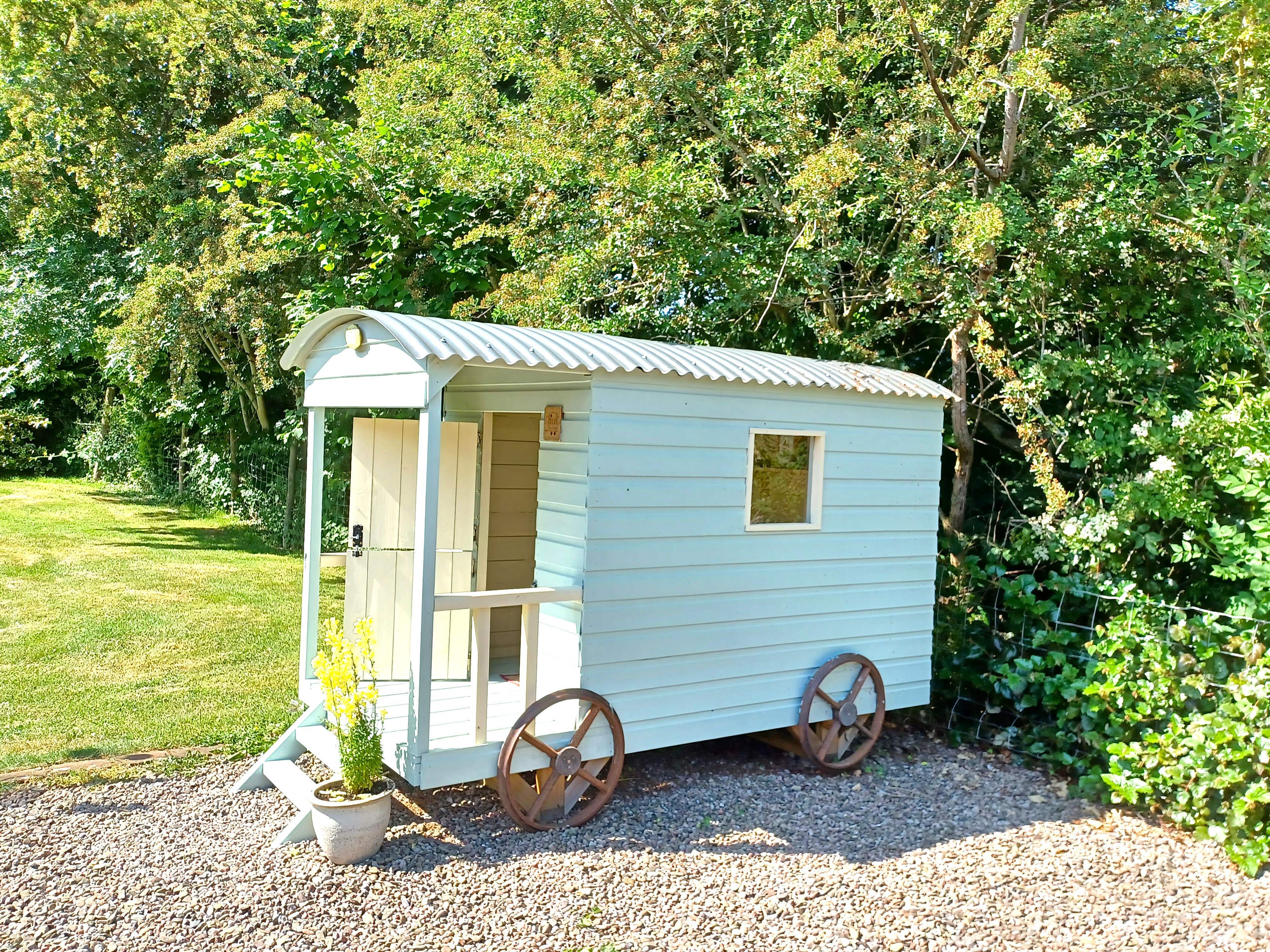 The child-sized shepherd