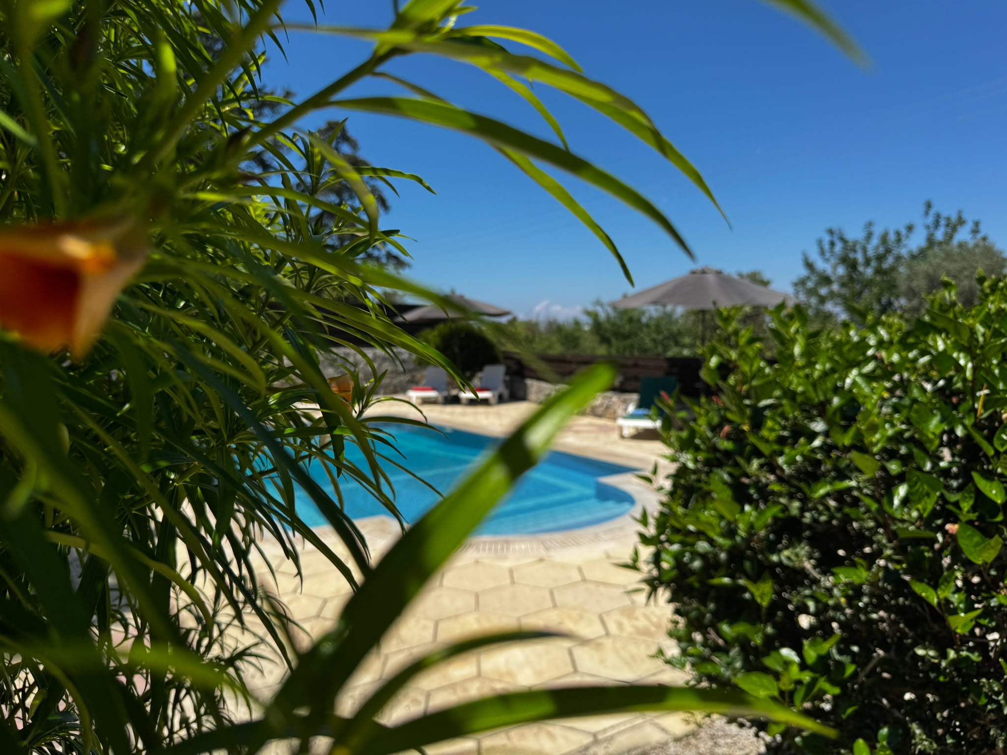 First glimpse of the Pool Terrace from the path