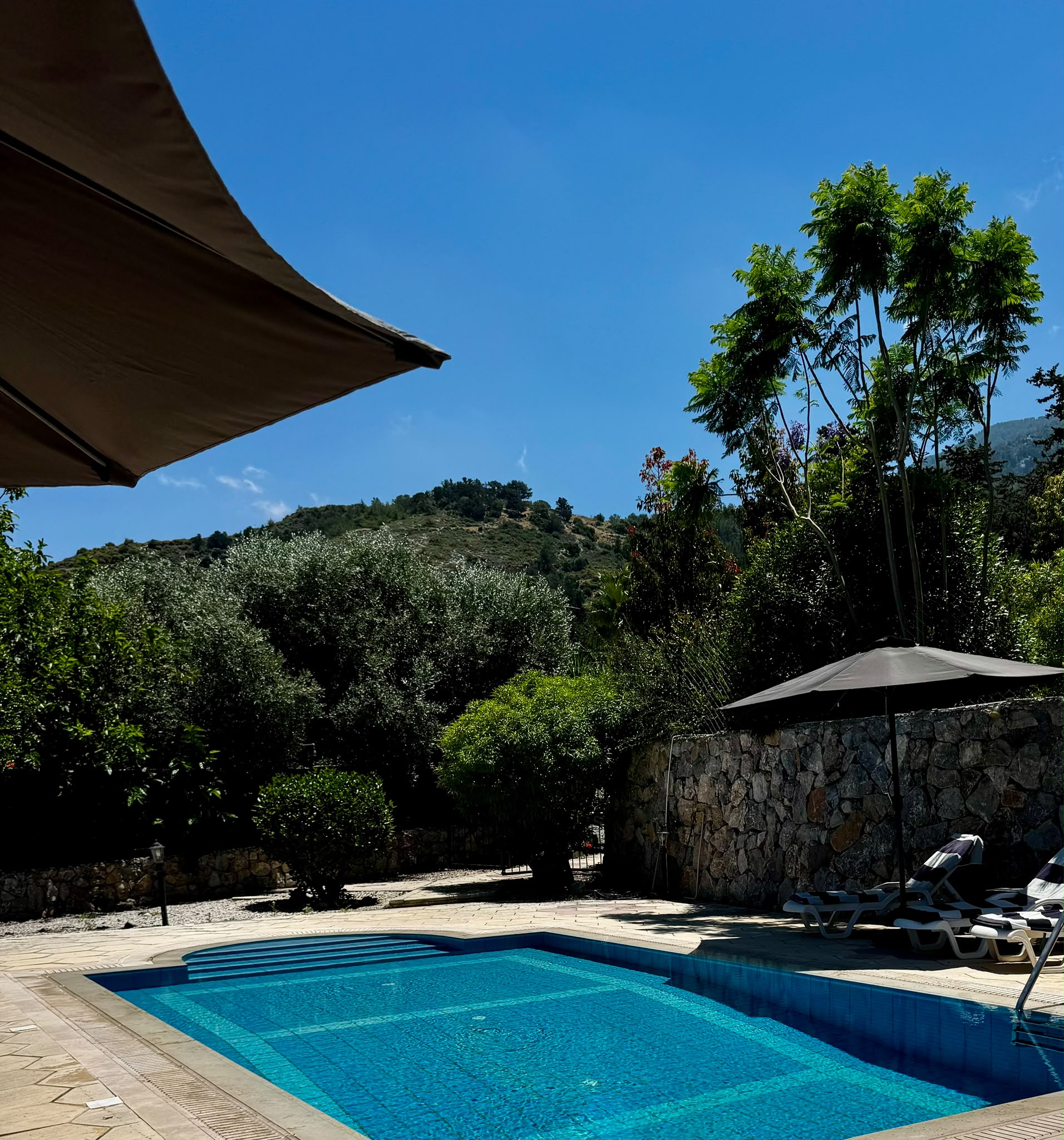Pool Terrace 3