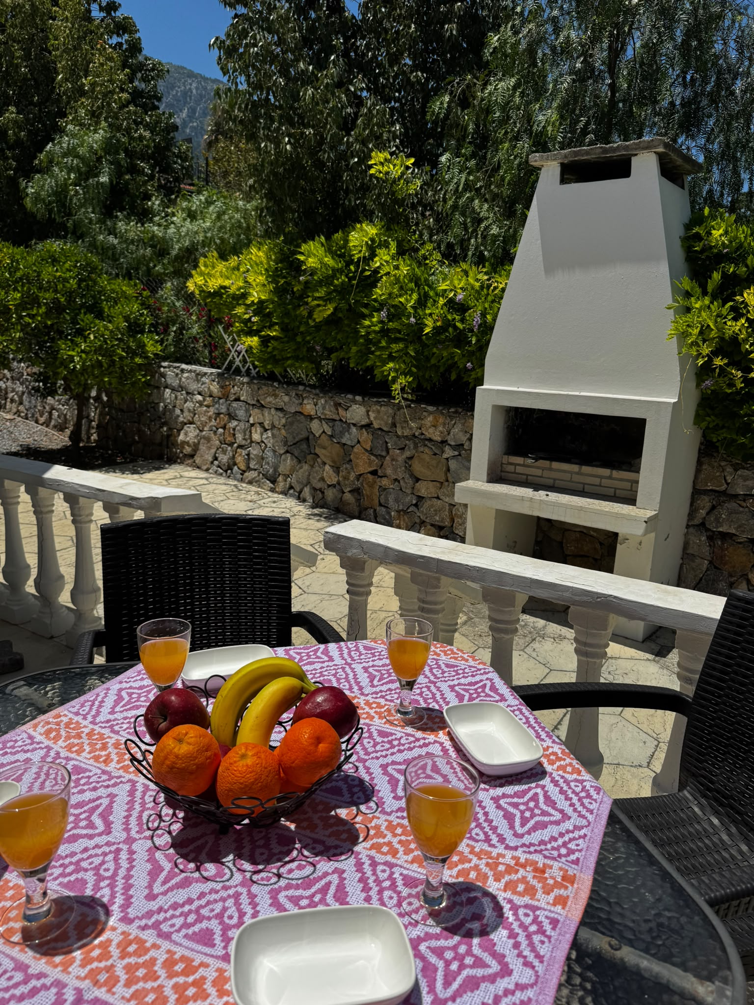 Rear Terrace and BBQ