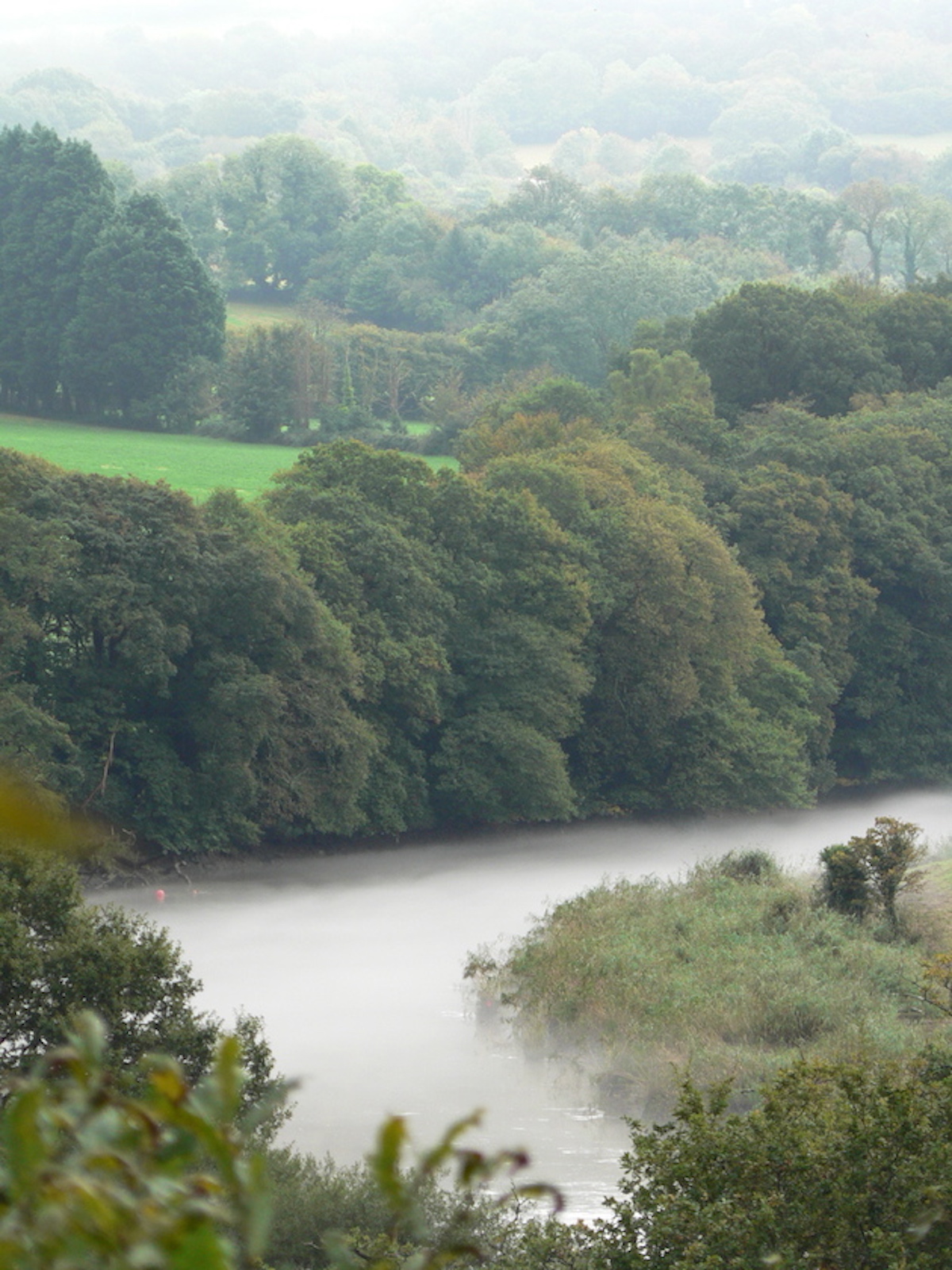 Morning mist over The Tamar