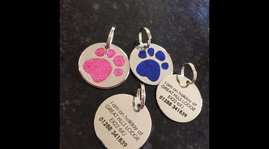 Dog tags to use whilst out and about