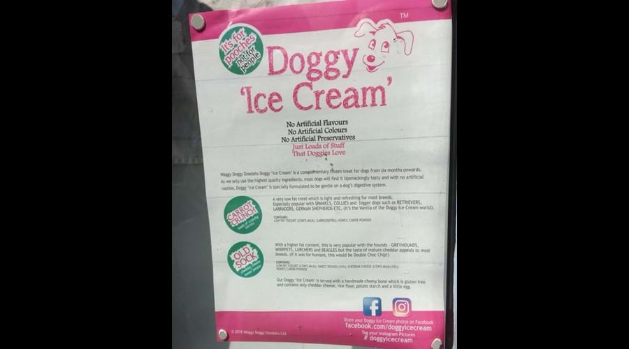 Even doggy ice cream is sold in Bude!