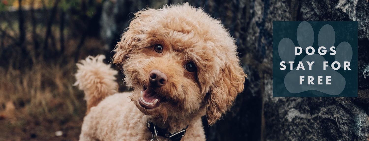 71, 0, 1500, 576, 1875, 720