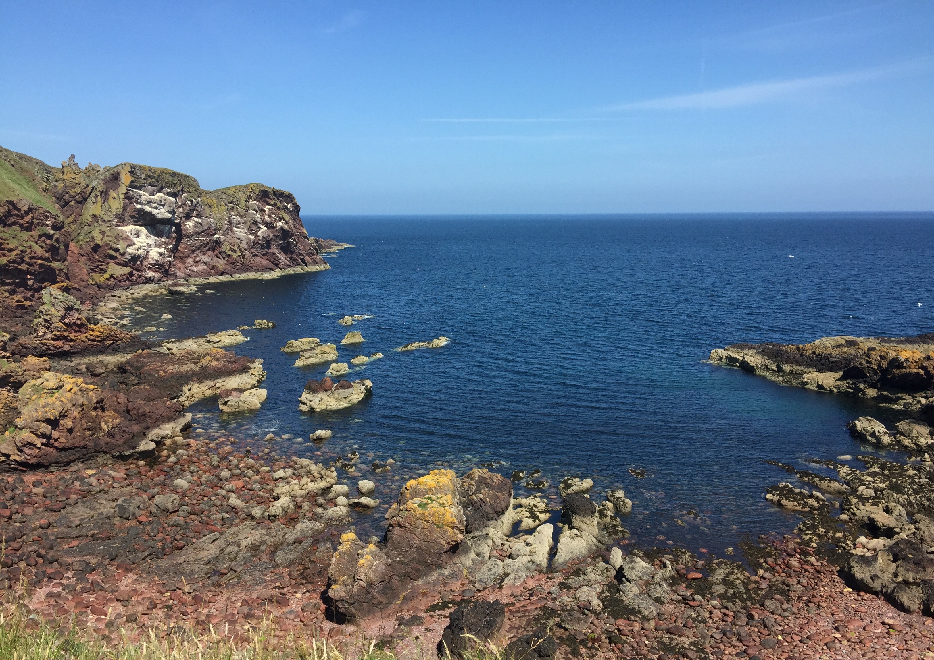 St Abb’s Head Coastal Walk