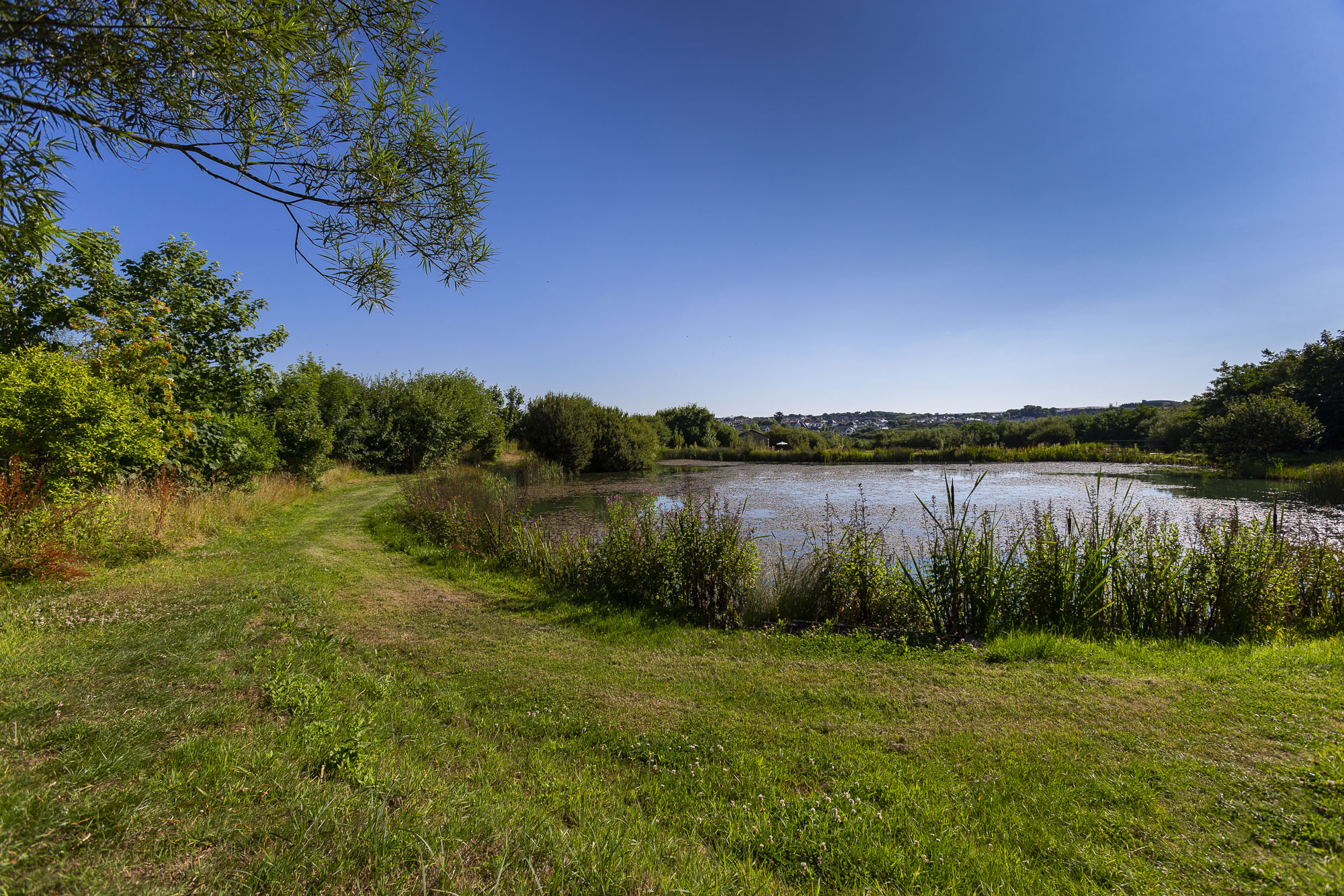 Lynstone Lake holiday cabins