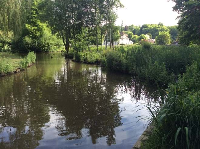 South Pond Midhurst