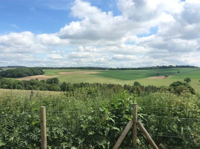 View from the top of The Trundle Goodwood