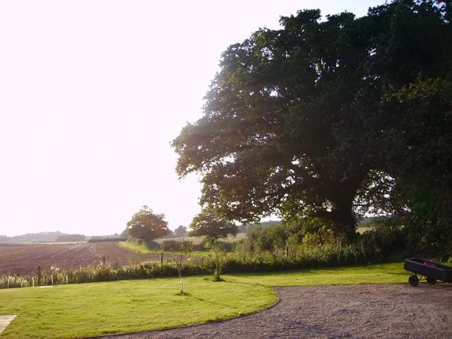 Evening view from Blackberry Barn