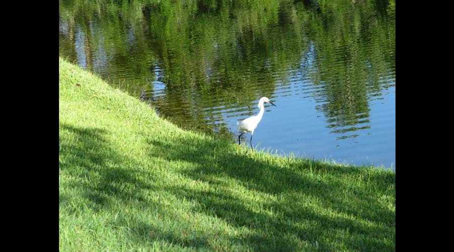 Wildlife up close