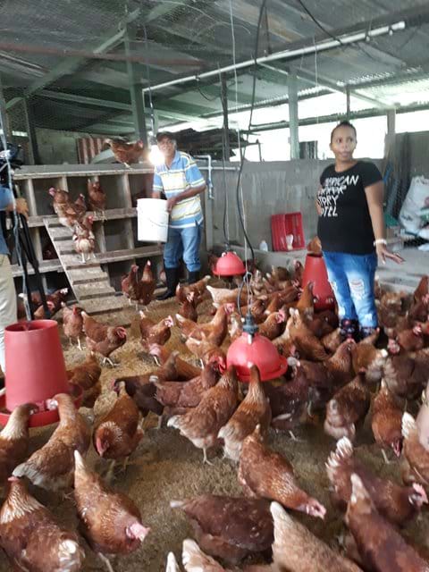 Proyecto "Huevos con amor"
