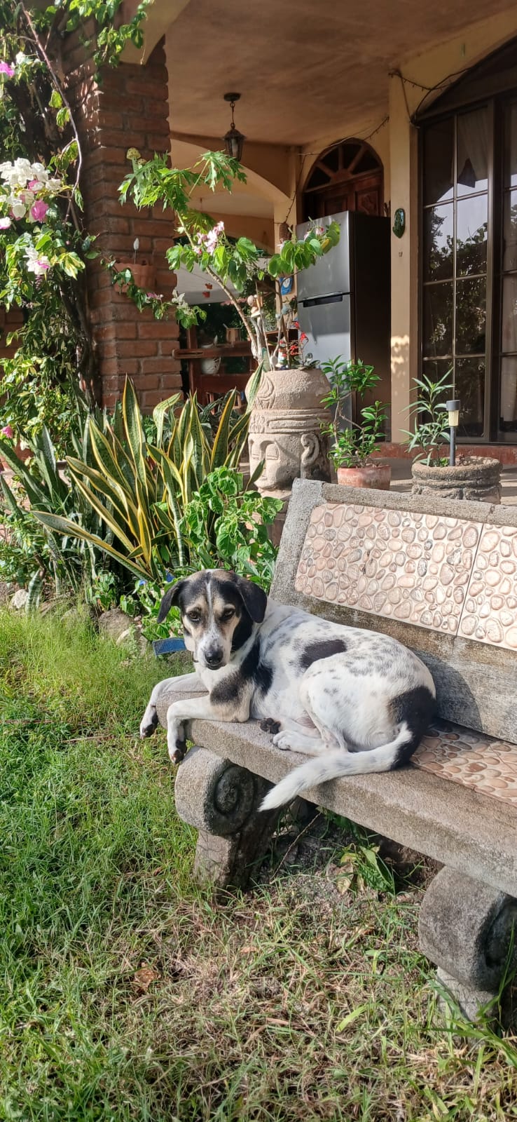 Rufito