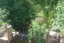 gate and steps down to the river garden