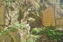 the rock garden at the back