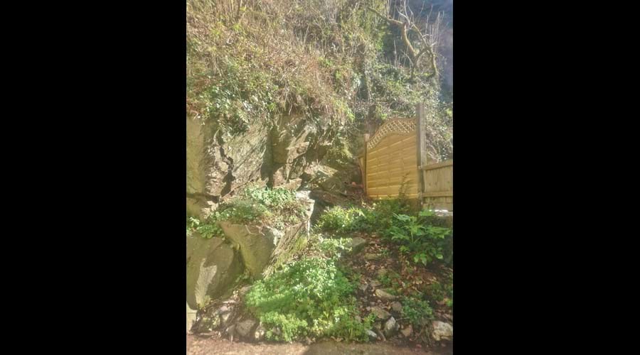 the rock garden at the back