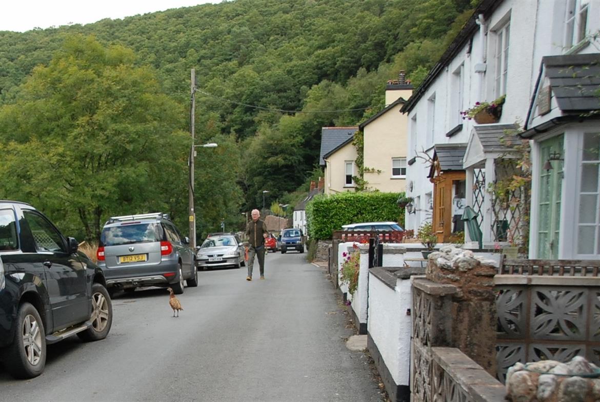 Information and Conditions to Trout Cottage