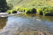 wild swimming
