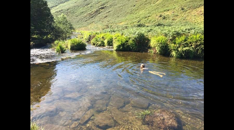 wild swimming