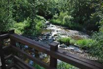 the river from the patio