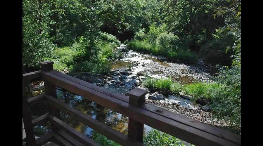 the river from the patio