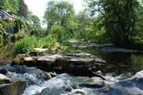 the weir