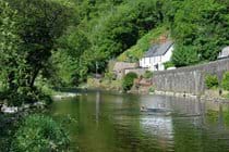 the river along from the garden