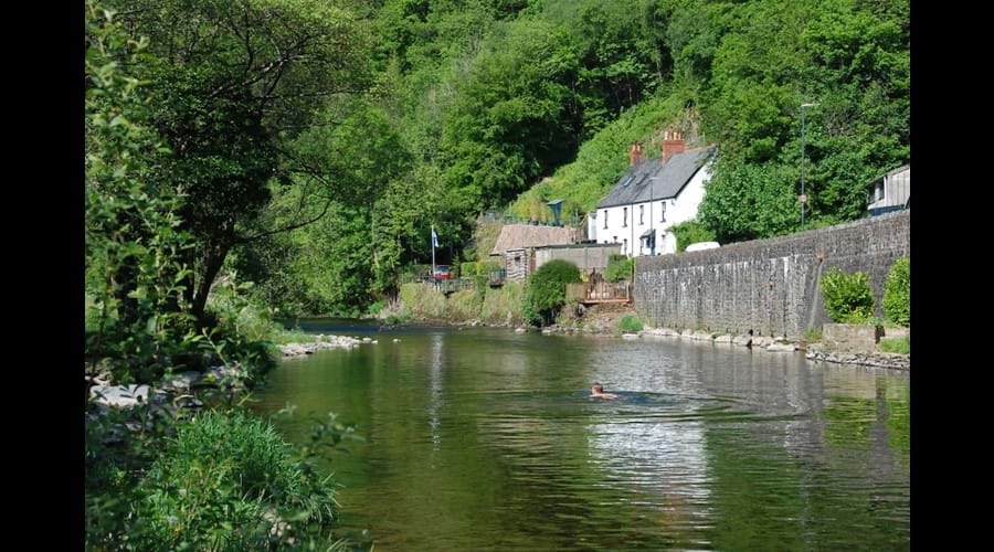 the river along from the garden
