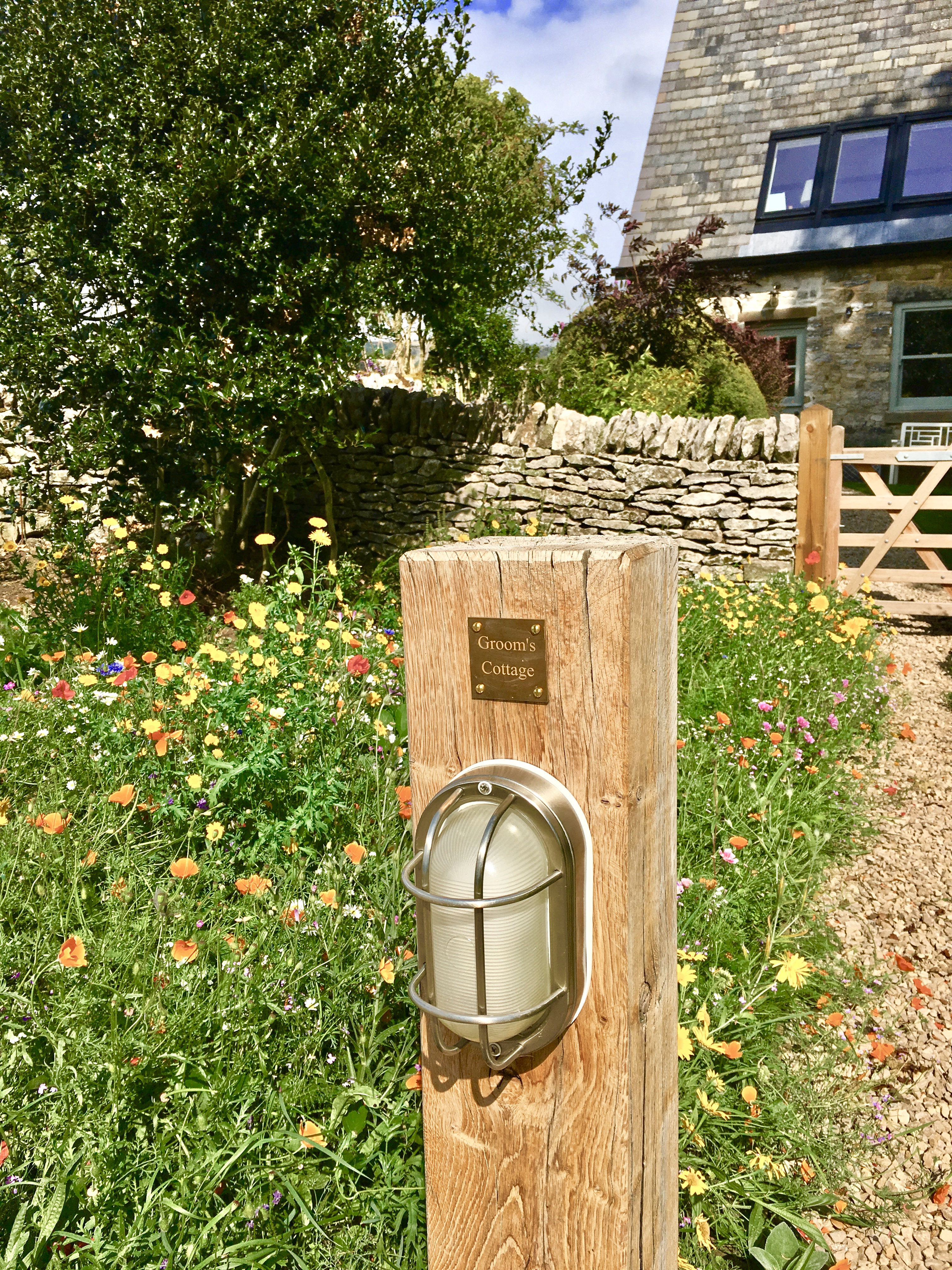 Wildflowers in the summer