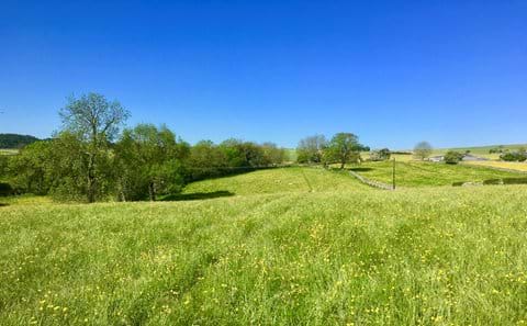 Our field - The way to the footpath