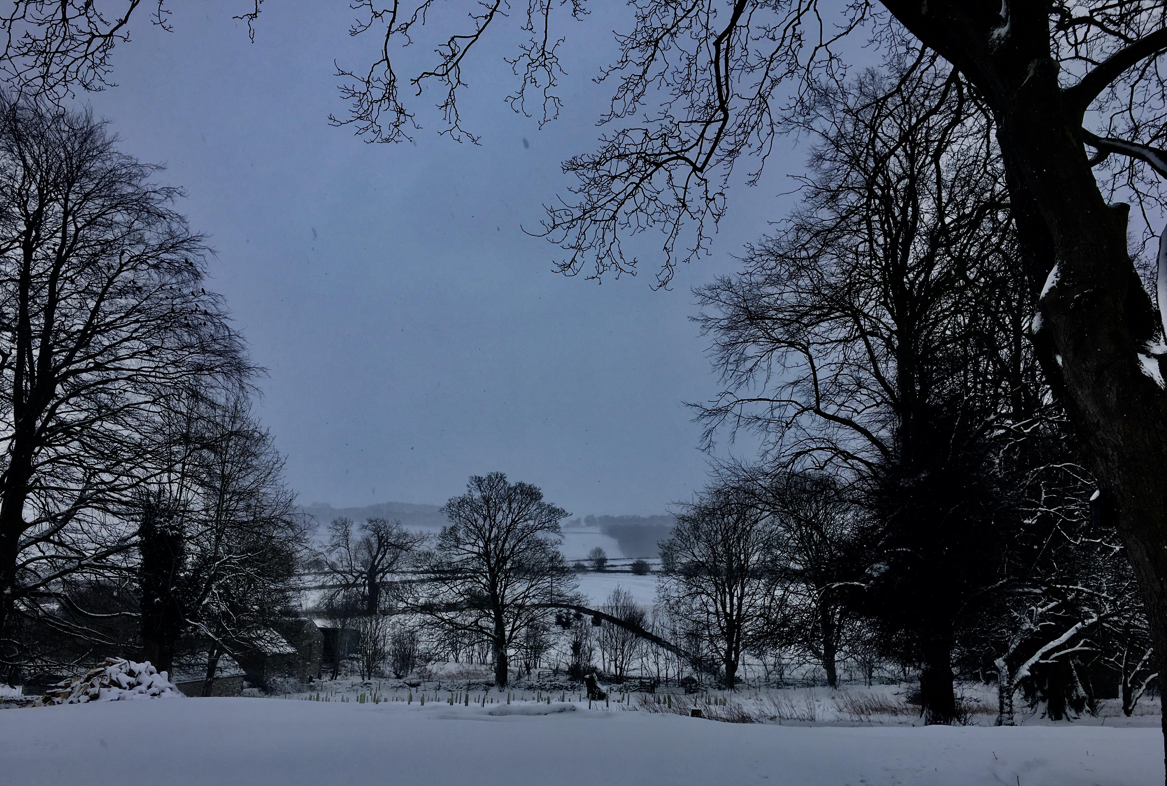 A winter scene from the Coach House