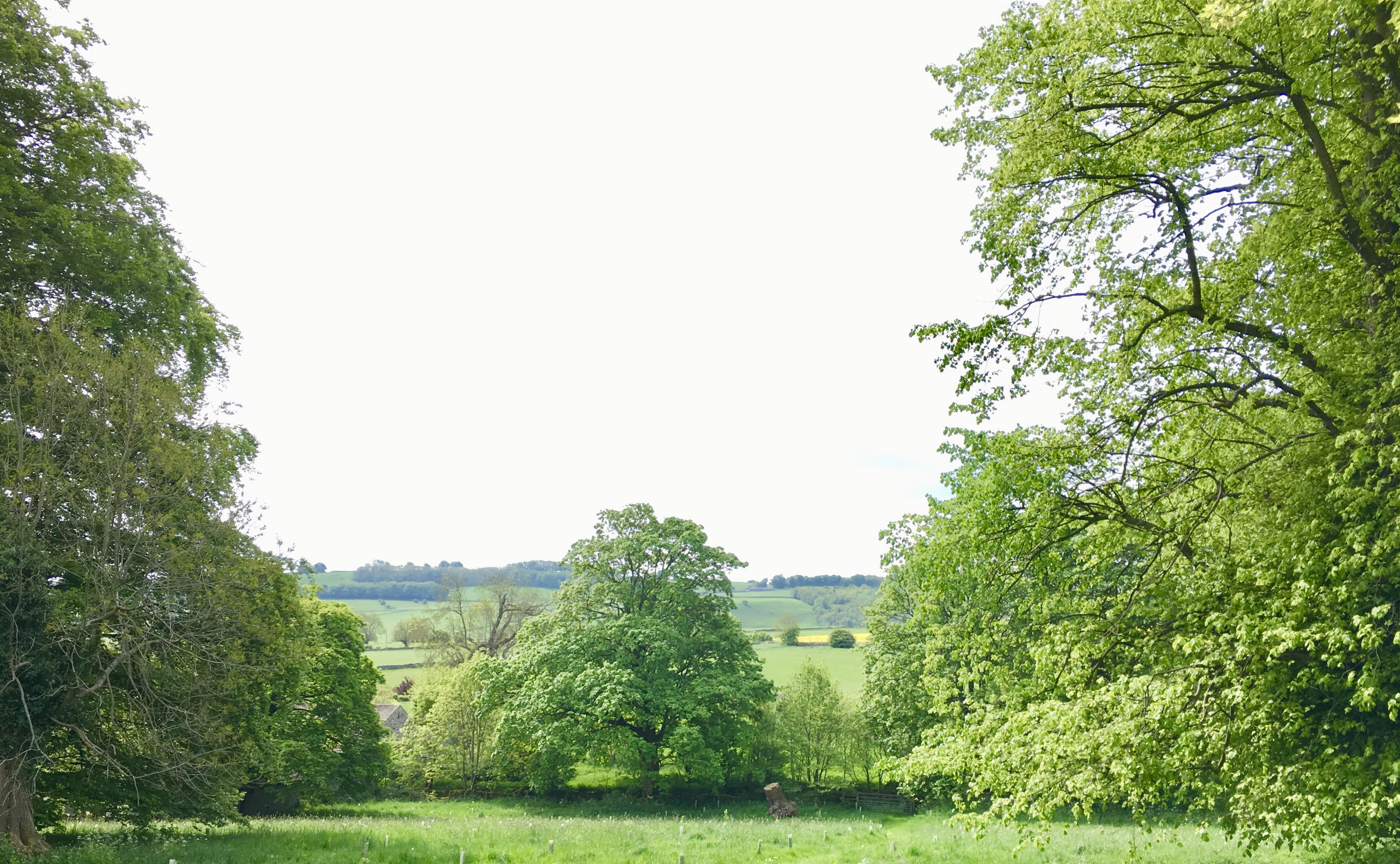 A summer view from the Coach House