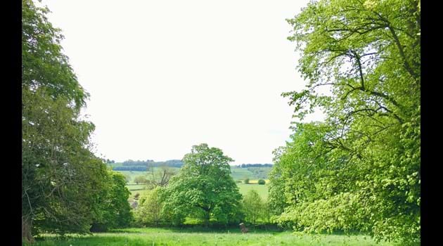 A summer view from the Coach House