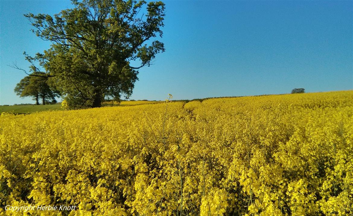 0, 448, 1170, 716, 3264, 1996