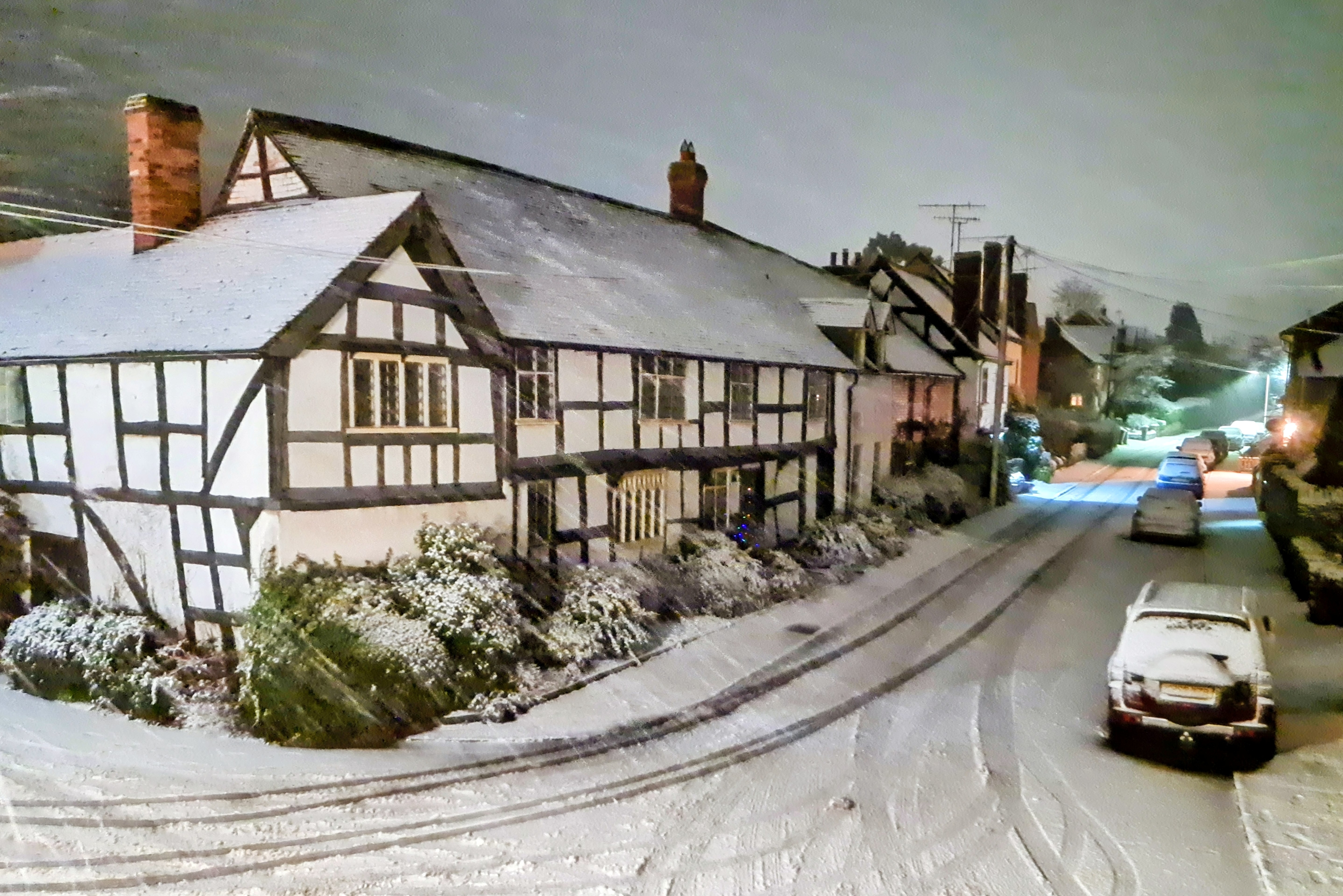 photo: Herbie Knott, Jan 2026