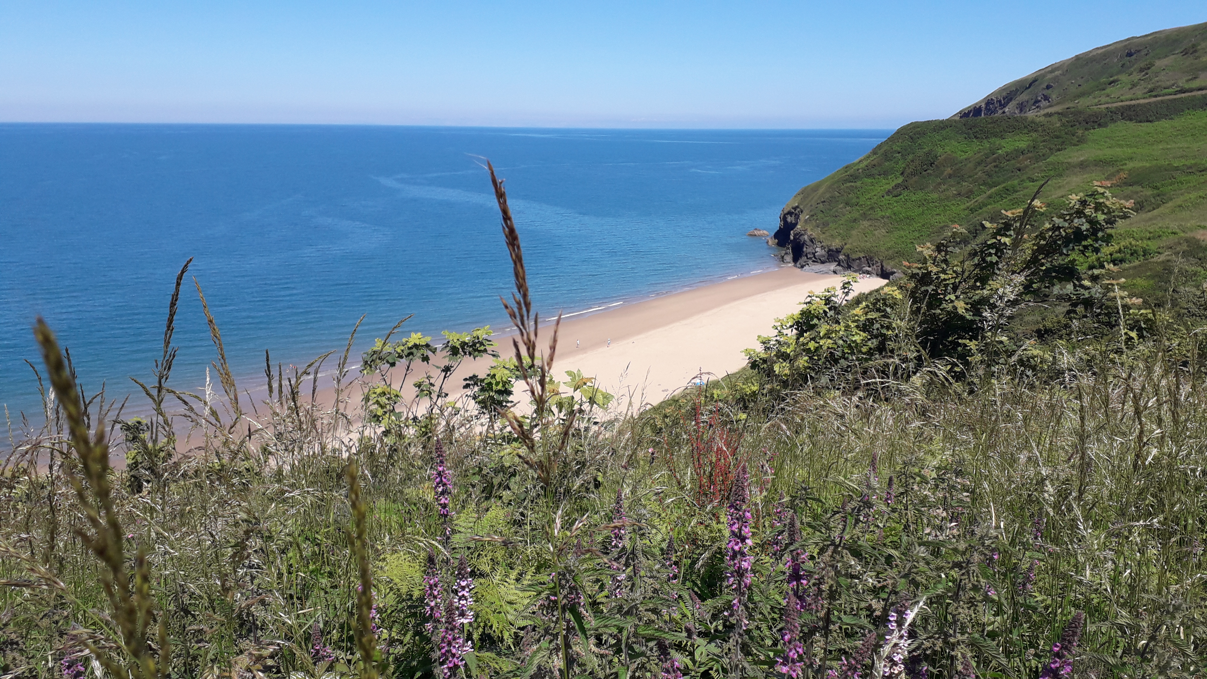 Looking back at Penbryn Beach from the Coastal Path