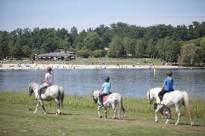 Horseriding at the lakes