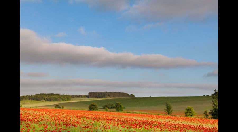North Norfolk countryside