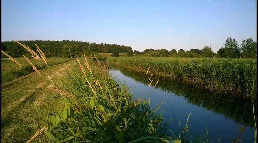 North Walsham to Dilham Canal with Bacton woods in the background