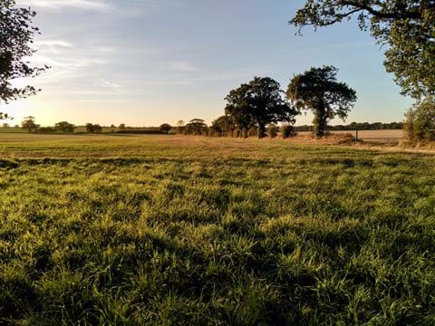 Farm land view from the driveway