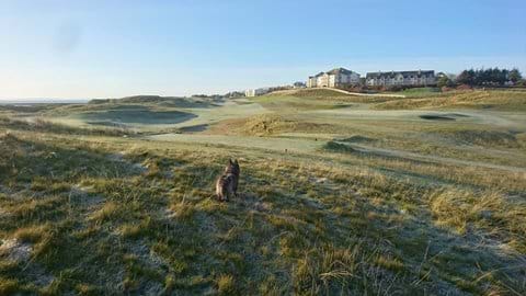 Brora golf course on a frosty November day